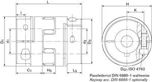 Elastomerkupplung RINGFEDER