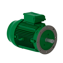 W22 IE4 160M, 11 kW, 1500 min-1, B05T