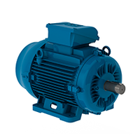 TERT 160M,11 kW, 3000 min-1