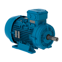 W21 IE3 160M/L,11 kW, 1500 min-1, IM B03T