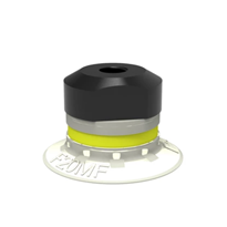S.F20T81.MM5F.00