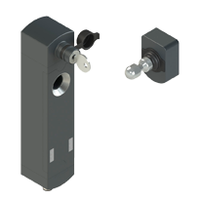RFID Sicherheitsschalter Serie NS mit Betätiger