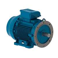 W22 IE3 160M,11 kW, 3000 min-1, IM B35T