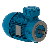 W21 IE3 63,0.25 kW, 3000 min-1, IM B14T