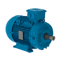 W21 IE3 63,0.18 kW, 3000 min-1, IM B03T