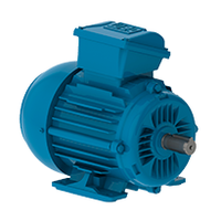 W22 IE3 160M,11 kW, 3000 min-1, IM B03T