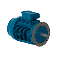 W22 IE3 132M,11 kW, 3000 min-1, IM B05T