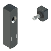 RFID Sicherheitsschalter Serie NS mit Betätiger