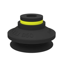 B50.30