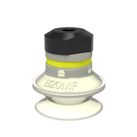 S.B20T81.MM5F.00